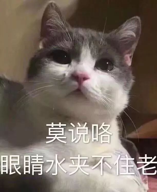 èʹ-׷󿵽,һ