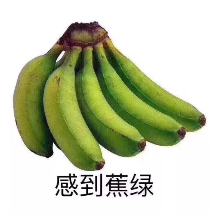 èʹ-׷󿵽,һ